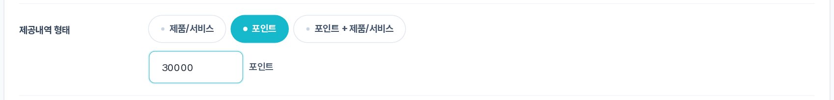 제공내역 형태 — 포인트