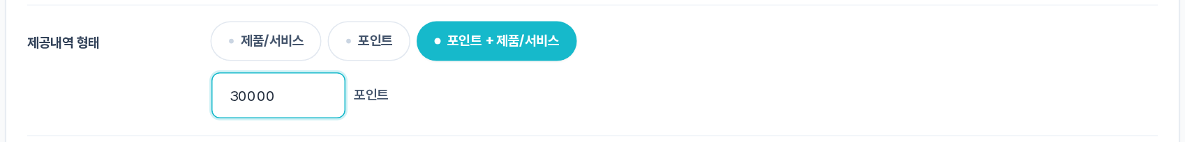 제공내역 형태 — 포인트 + 제품/서비스
