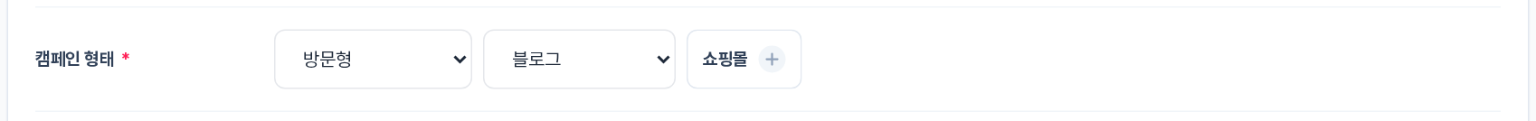 캠페인 형태 — 방문형 선택