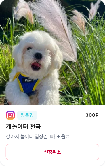 신청 탭 카드 클로즈업