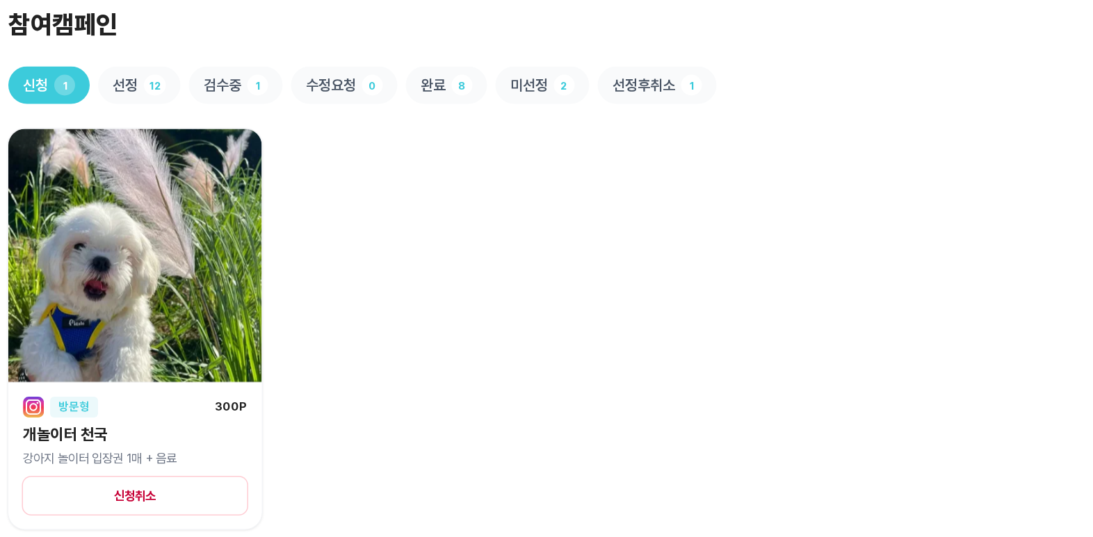 신청 탭