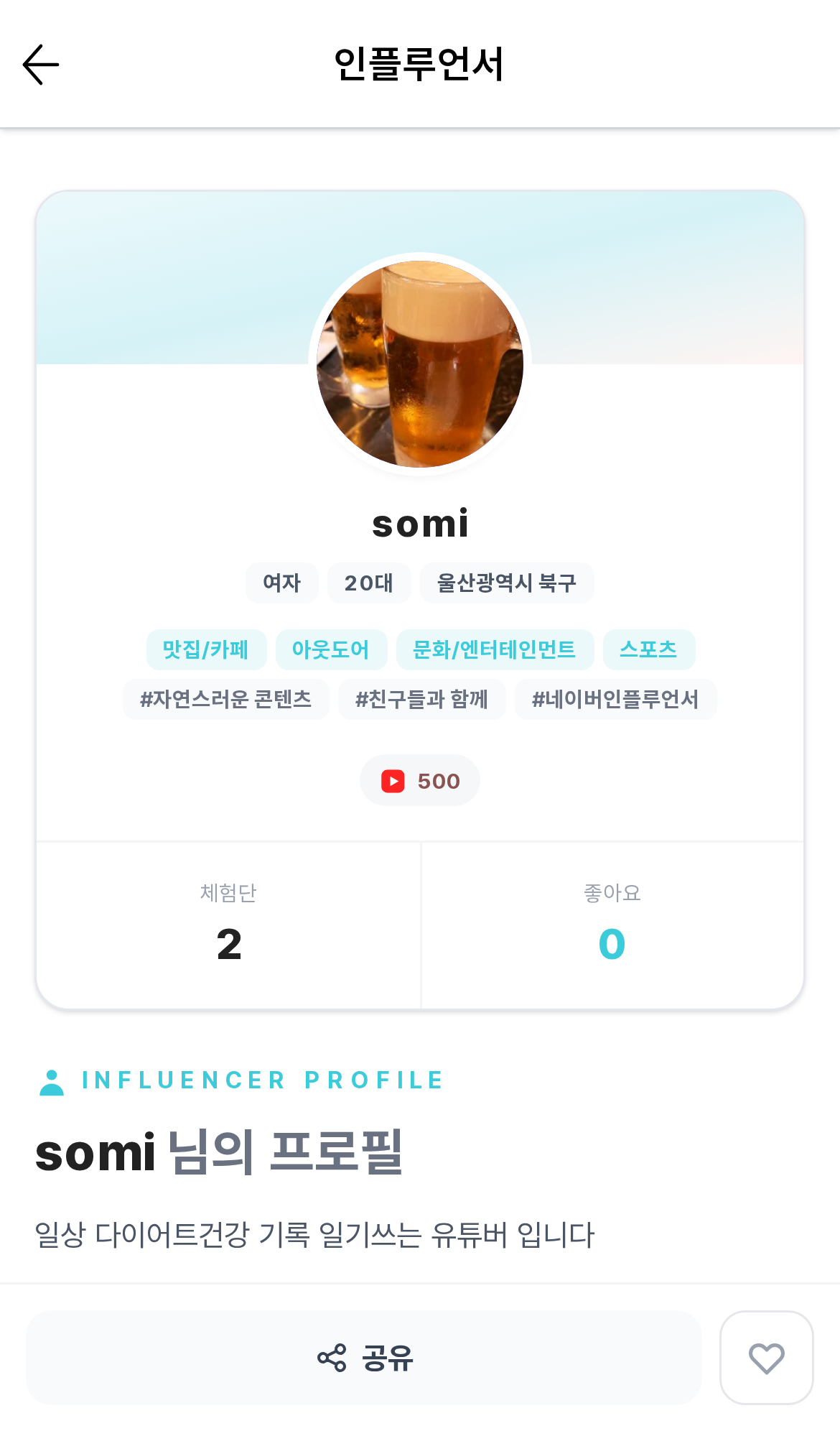 인플루언서 상세