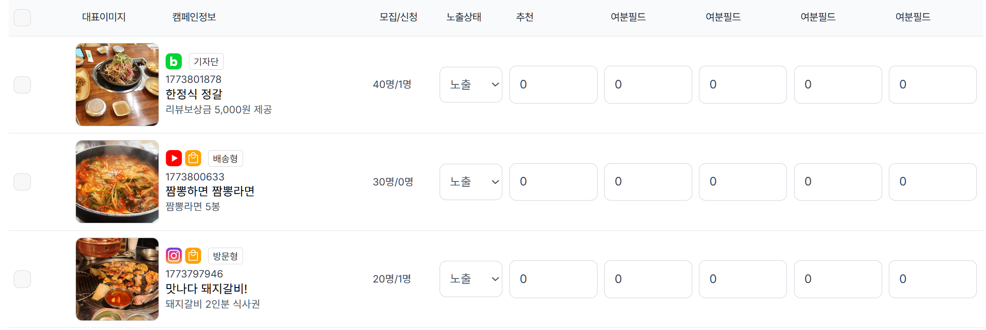 이미지: 캠페인 출력 및 여분필드 영역