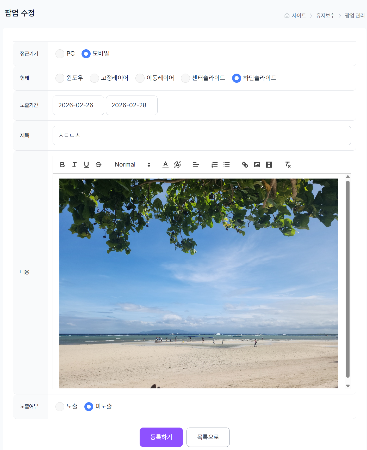사이트 > 유지보수 > 팝업 관리
