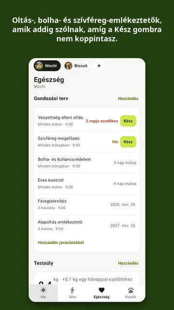 Kibbleday képernyőkép 2