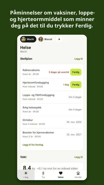 Kibbleday skjermbilde 2