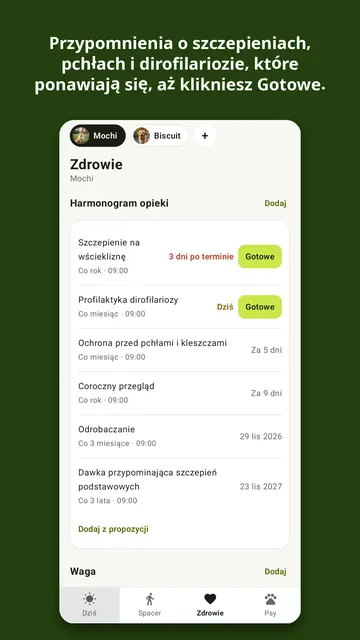Kibbleday – zrzut ekranu 2