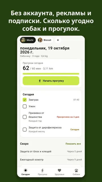 Kibbleday: скриншот 3