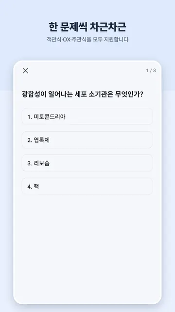 오답이 스크린샷 3