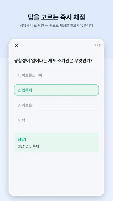 오답이 스크린샷 4